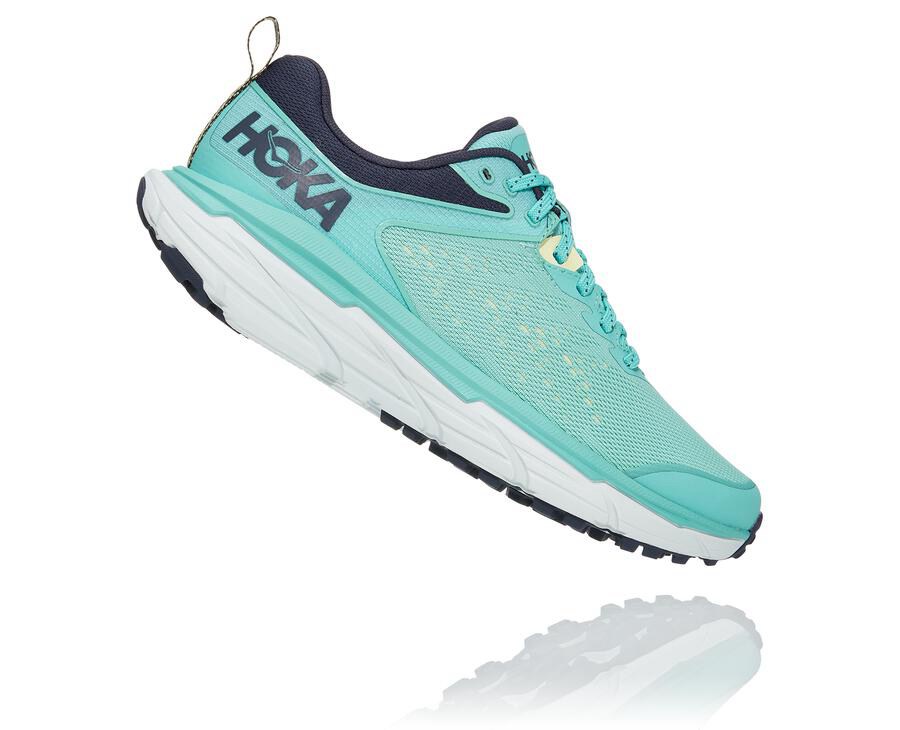 Trail Shoes Womens - Hoka One One Challenger ATR 6 - Blue/White - ATDKWRZ-04